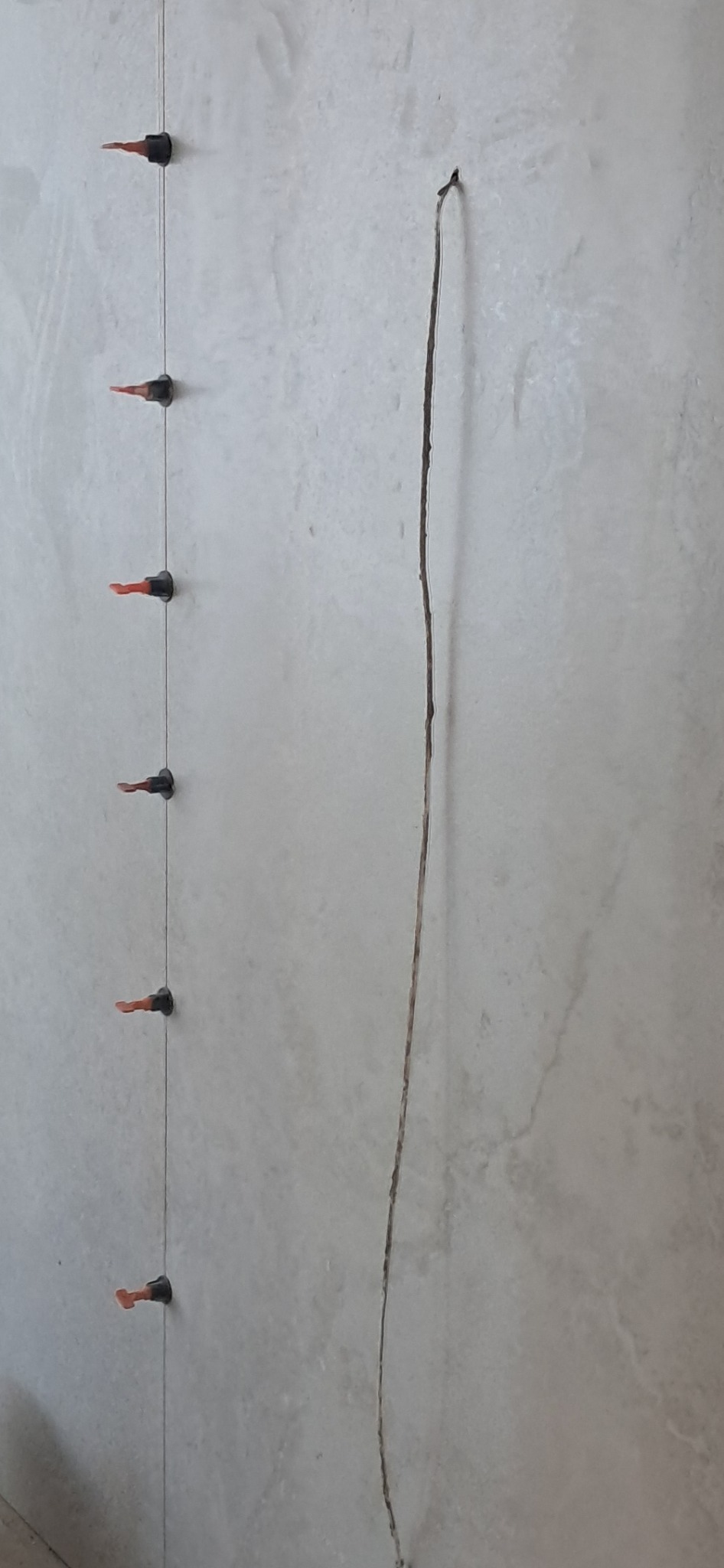 Ściana z jasnych płytek, pionowa linia z poziomującymi klipsami i pionowe nacięcie. Widoczne narzędzia do poziomowania płytek.