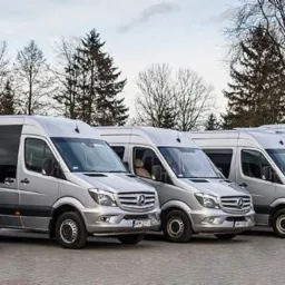 Srebrne i szare busy Mercedes-Benz ustawione w rzędzie na parkingu, widok z przodu, z drzewami w tle.