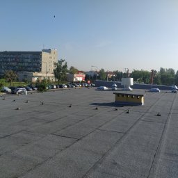 ESTETIK DEKARSTWO - Wysokiej Klasy Naprawa Dachów w Gorzowie Wielkopolskim