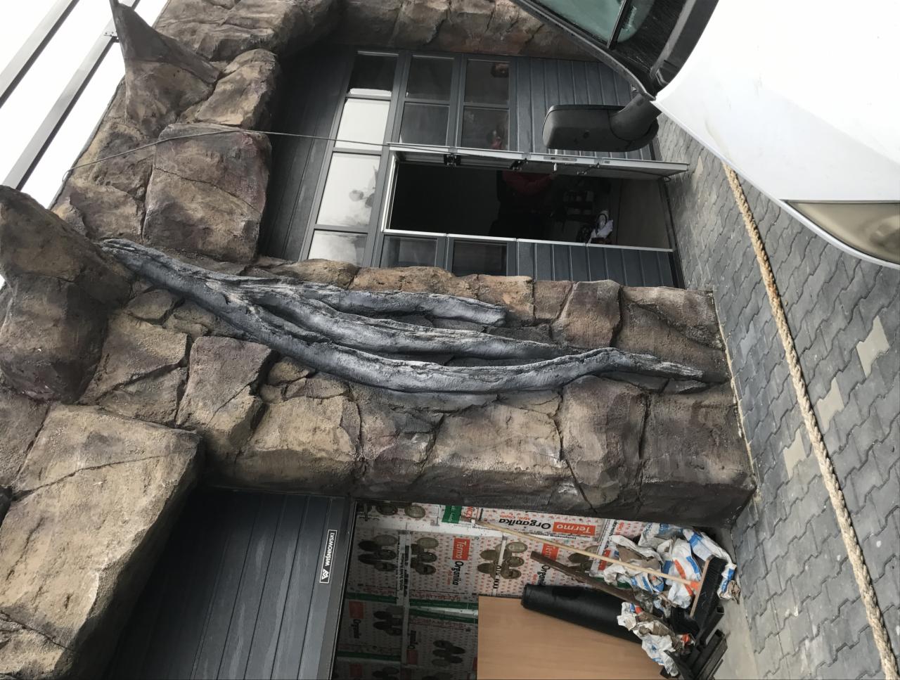 Elewacja budynku imitująca skałę z dekoracyjnymi elementami przypominającymi korzenie, widok na garaż z otwartą bramą i częściowo widoczny samochód.