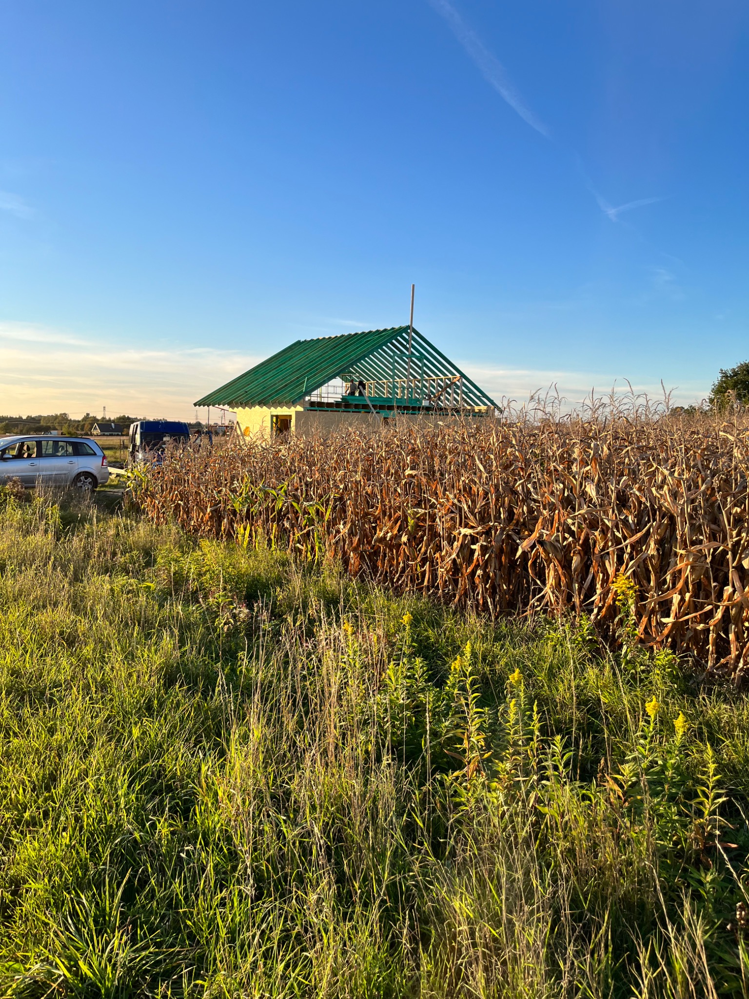 Wznoszona konstrukcja domu z drewnianym szkieletem i zielonym dachem, widoczna zza pola kukurydzy w słoneczny dzień.