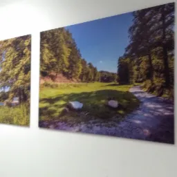 Dwa obrazy na ścianie przedstawiające krajobrazy: jezioro z drzewami i leśną ścieżkę. Obrazy są w jasnych kolorach i mają matowe wykończenie.