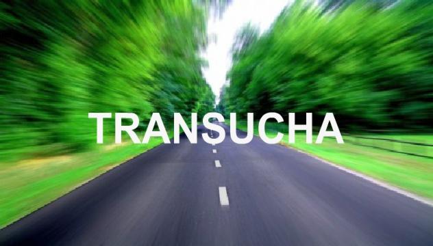 Rozmyta droga asfaltowa z białymi pasami, otoczona zielonymi drzewami, z nałożonym białym napisem 'TRANSUCHA', sugerującym nazwę firmy transportowej.