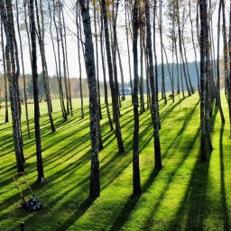 Pielęgnacja ogrodów Aleksandrów Łódzki 103