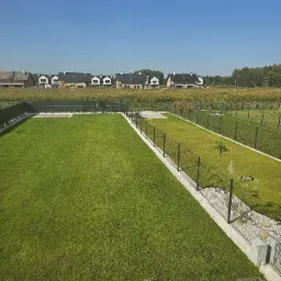 Zadbany trawnik z rolki w ogrodzie, oddzielony żwirową ścieżką i ogrodzeniem panelowym, w tle nowe domy jednorodzinne.