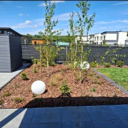 Nowoczesny ogród z młodymi brzozami, korą, oświetleniem kulistym i zadbanym trawnikiem na tle zabudowy szeregowej w słoneczny dzień.