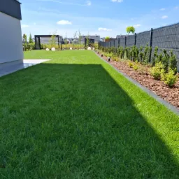 Zadbany trawnik przydomowy z równo skoszoną trawą, obrzeżami z kory i nasadzeniami wzdłuż ogrodzenia. Widoczna pergola i dekoracyjne kule świetlne.