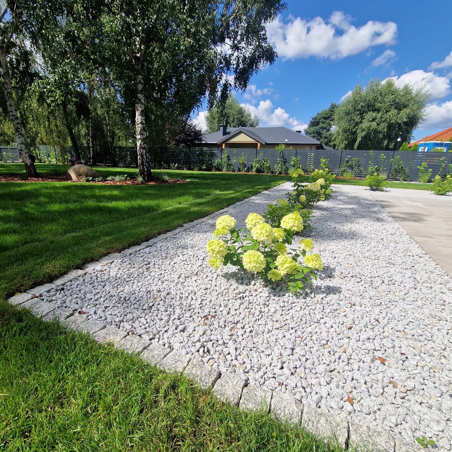 Ogród z białym żwirem i kwitnącymi hortensjami. Granitowa obwódka oddziela trawnik od ścieżki. W tle nowoczesne ogrodzenie i budynek mieszkalny.