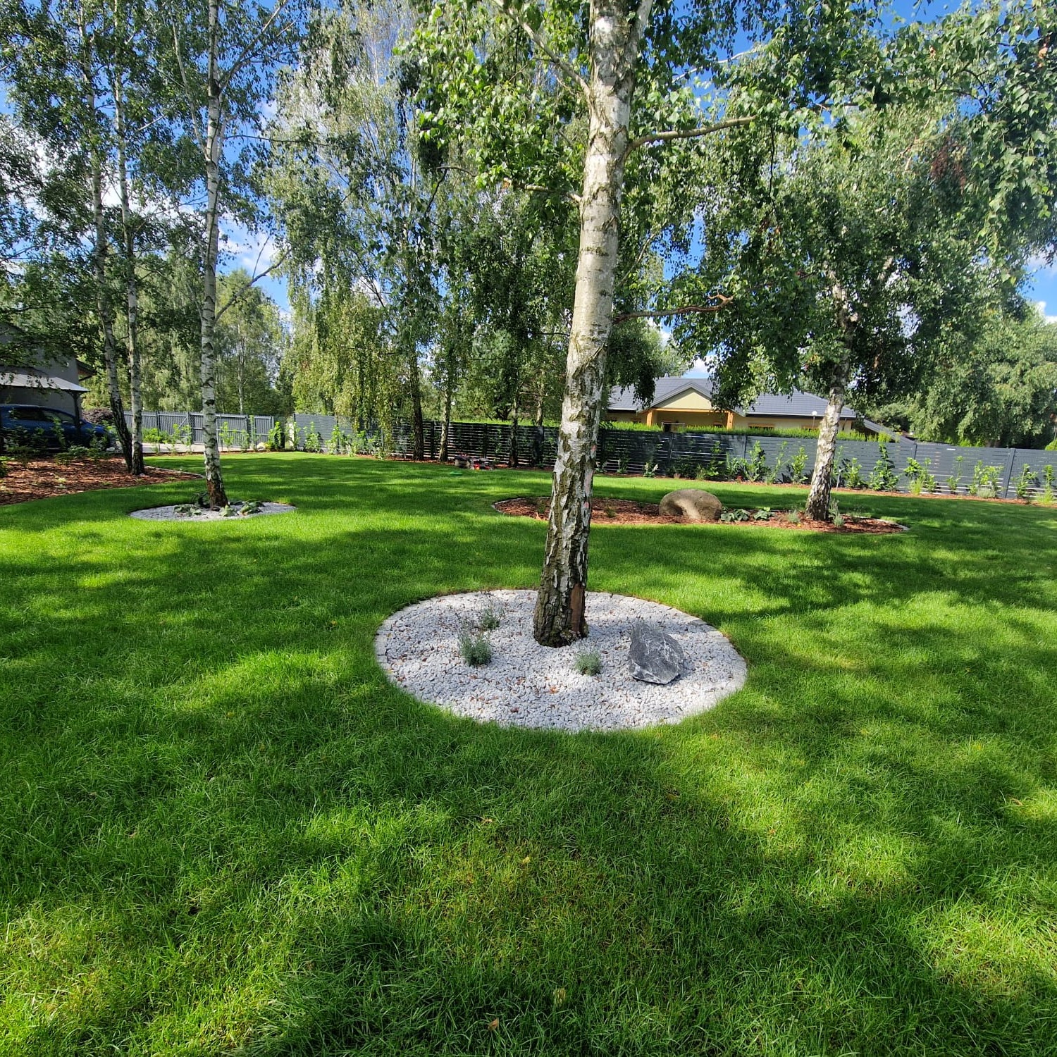 Zadbany trawnik z białymi kamieniami wokół drzew i korą. Szpaler drzew w tle. Estetyczny ogród w słoneczny dzień.