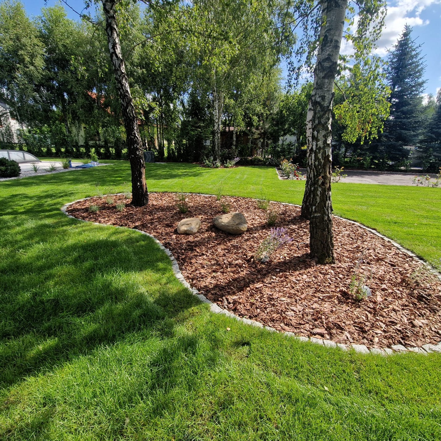 Estetyczny ogród z dwoma brzozami, obsypany korą i obłożony kamieniami. Zadbane trawniki i roślinność w tle, podkreślają harmonię i dbałość o szczegóły w ogrodzie.