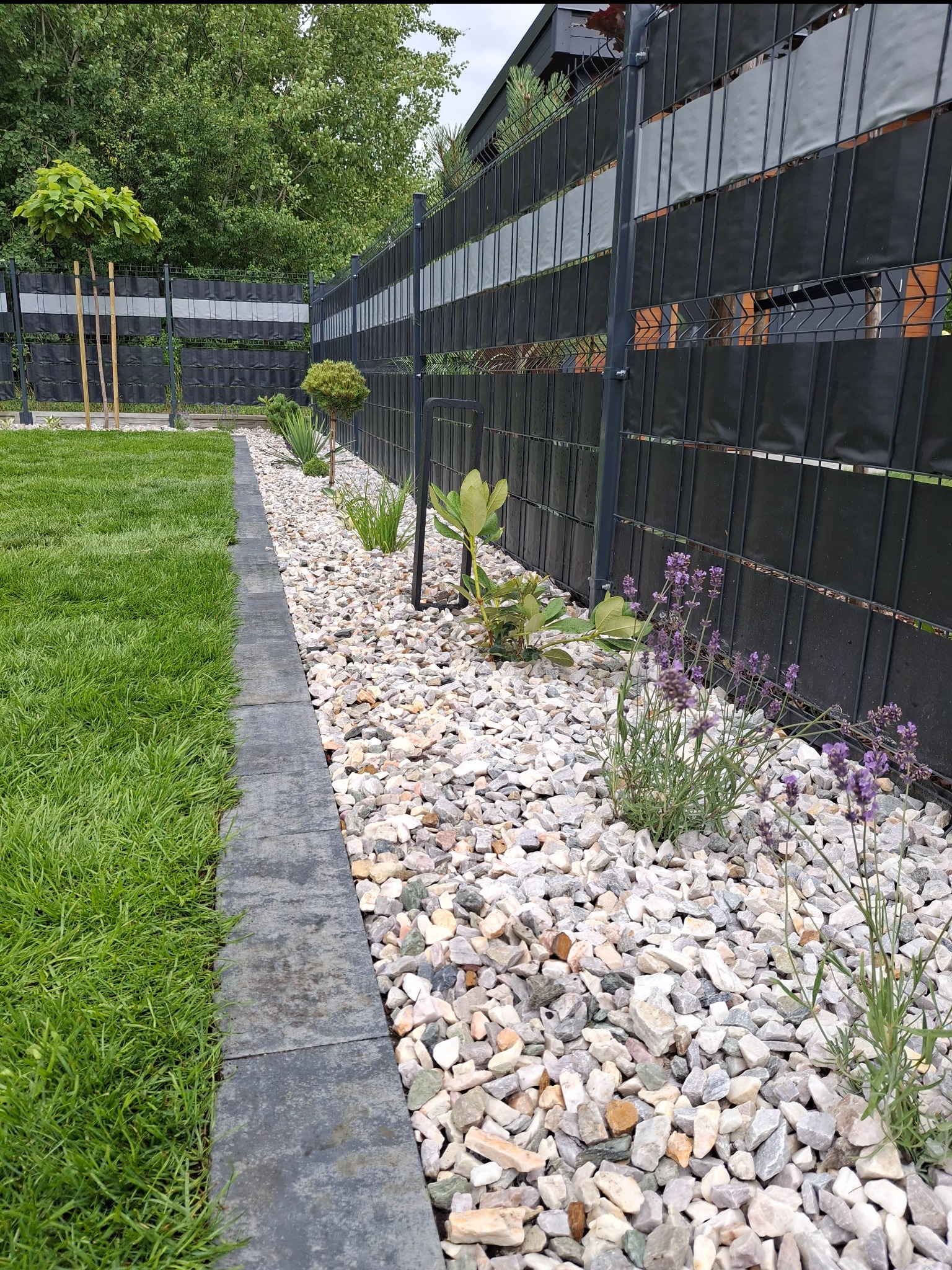Ogród z czarnym ogrodzeniem panelowym, obrzeżem z kostki, kamieniami ozdobnymi i lawendą. Trawa soczysta, równo skoszona. Drzewka ozdobne w tle.