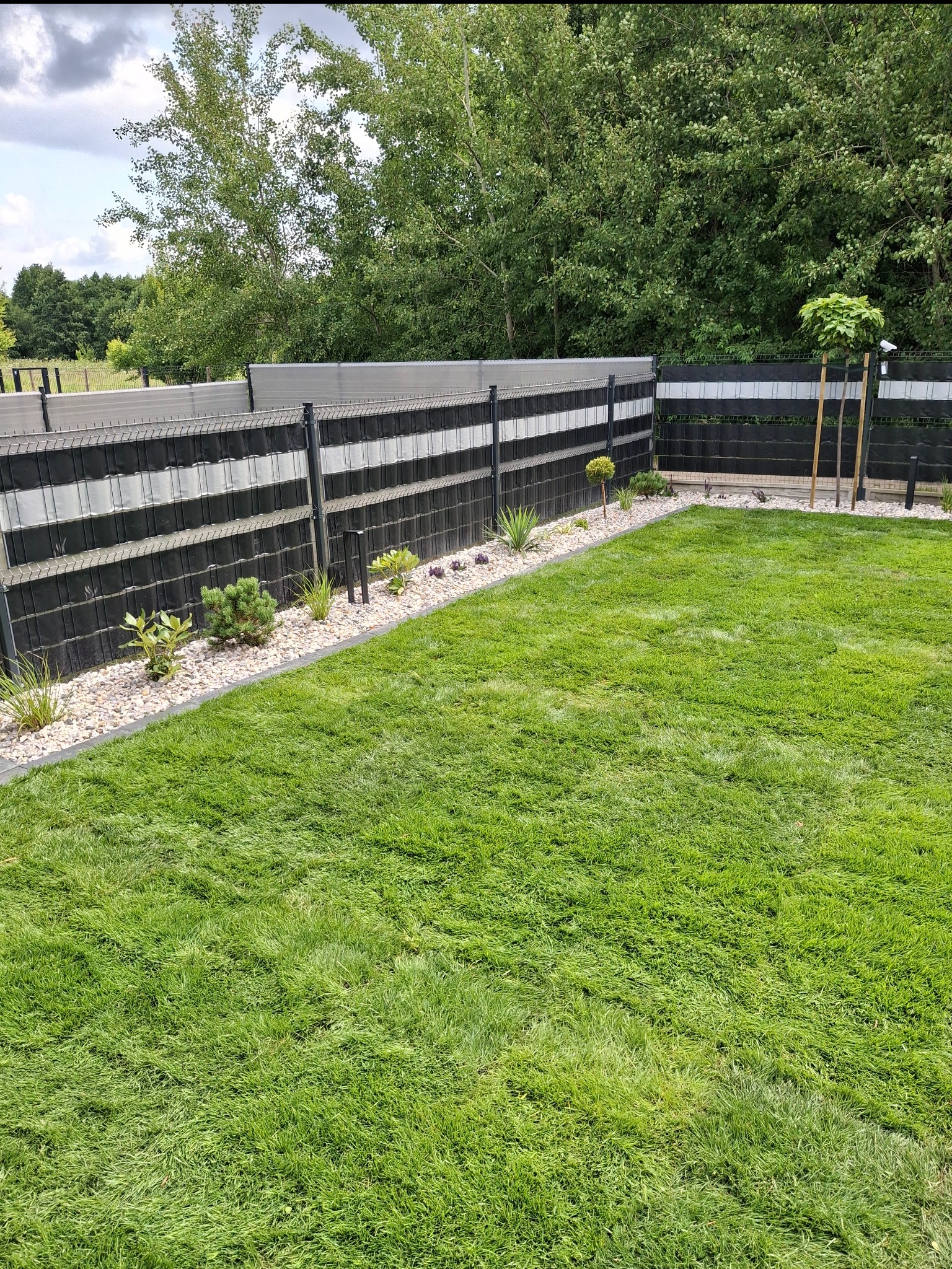 Zadbany trawnik z obrzeżami z kamienia i nowoczesnym ogrodzeniem panelowym. Widoczne nasadzenia roślin ozdobnych i drzewka. Całość tworzy estetyczny i uporządkowany ogród.