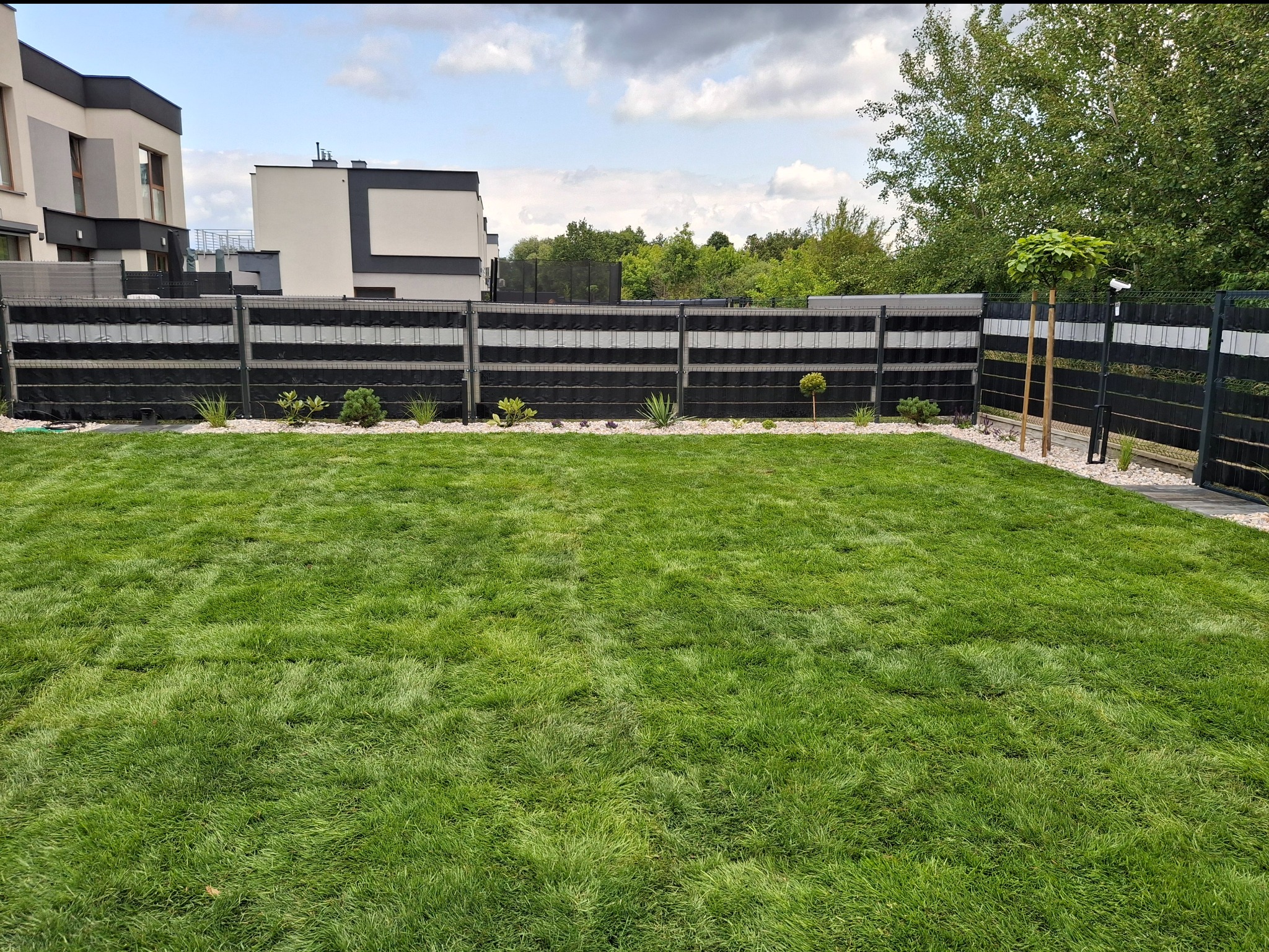 Zadbany trawnik z niską trawą, obrzeża z białego kamienia, nowoczesne ogrodzenie z roślinami w doniczkach. W tle budynki mieszkalne i drzewa.