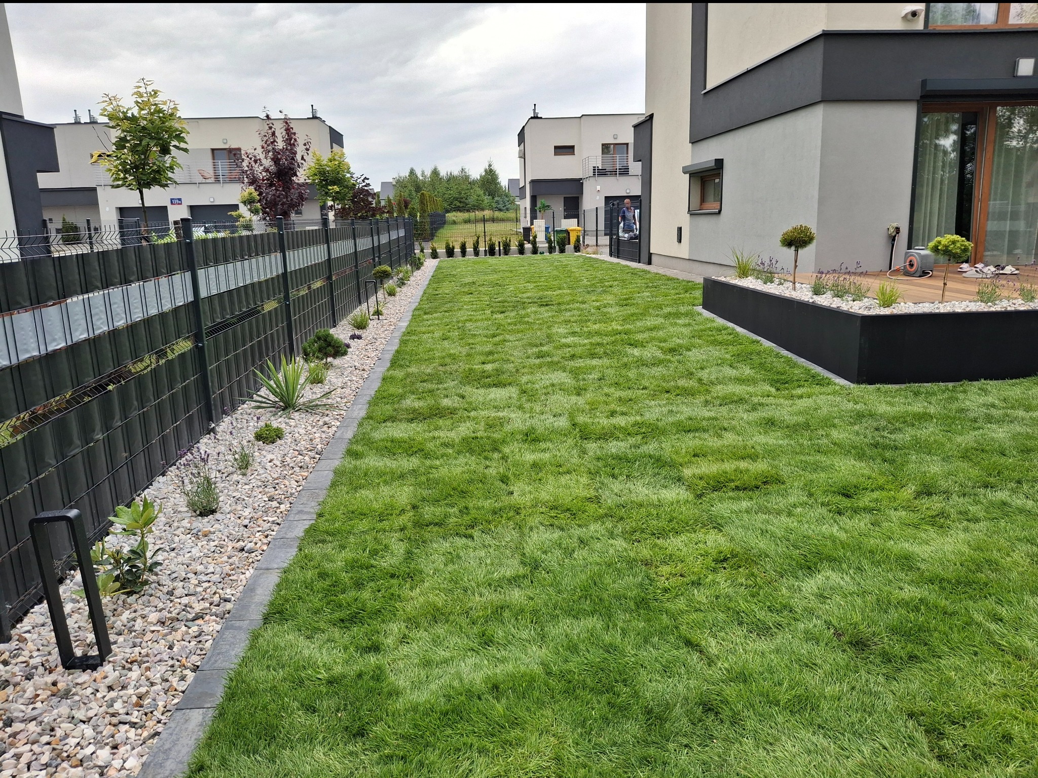Zadbany trawnik przed nowoczesnym domem z szarą elewacją. Widoczny czarny płot z roślinami ozdobnymi i kamieniami, oraz rząd młodych drzewek w tle.
