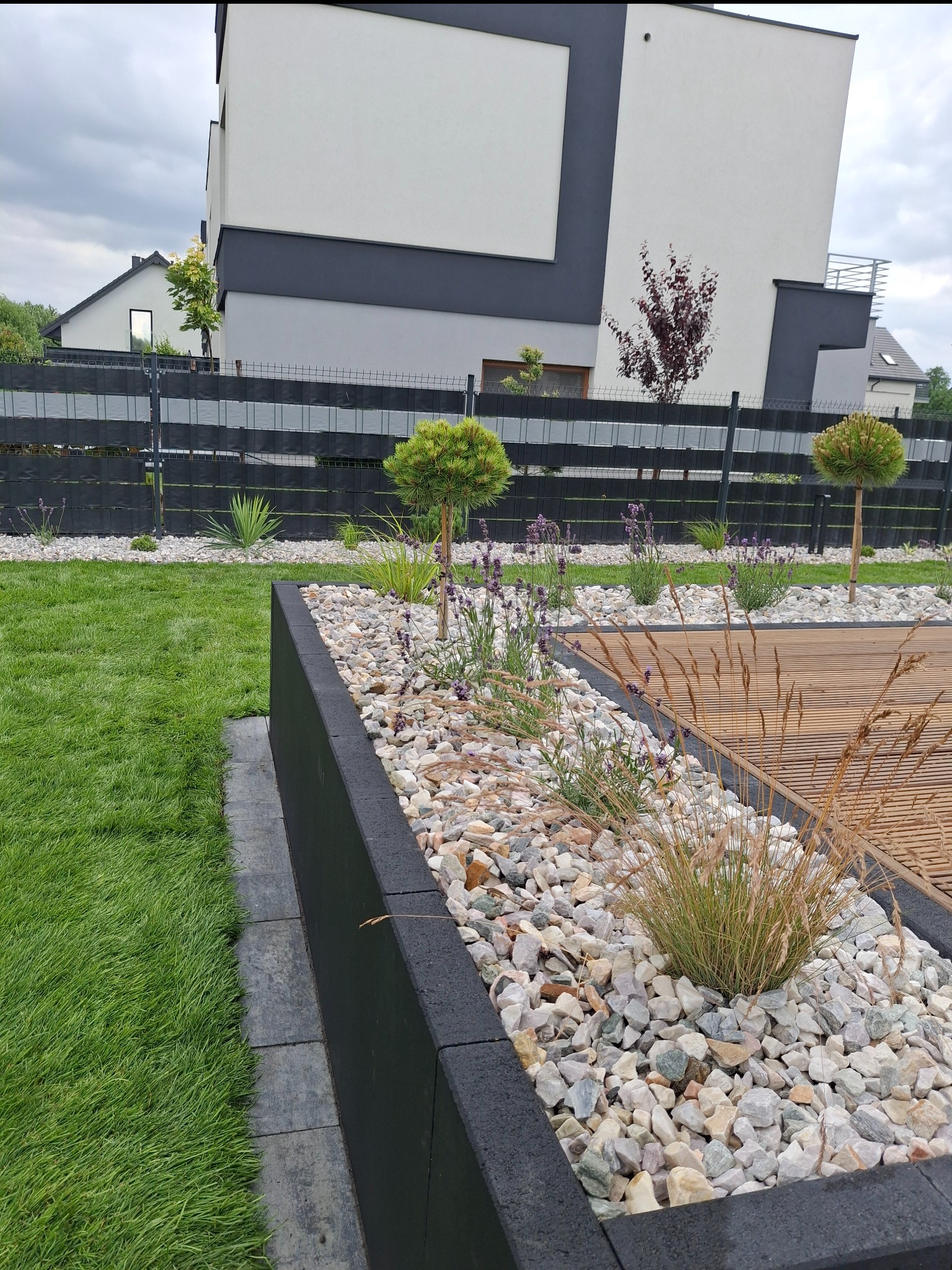 Nowoczesny ogród z podwyższoną rabatą wypełnioną białymi kamieniami, ozdobnymi trawami i lawendą. W tle trawnik i minimalistyczny dom z czarnym ogrodzeniem.