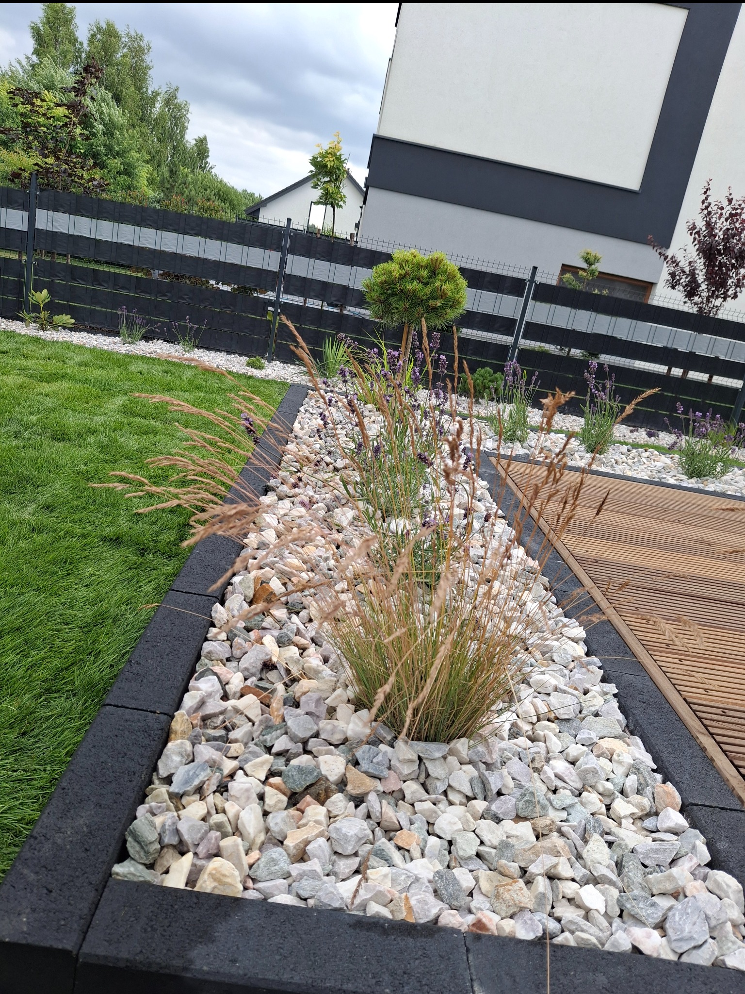 Nowoczesny ogród: rabata z kamieniami, ozdobnymi trawami i lawendą, oddzielona od trawnika czarnym obrzeżem, z drewnianym tarasem w tle i widokiem na dom.