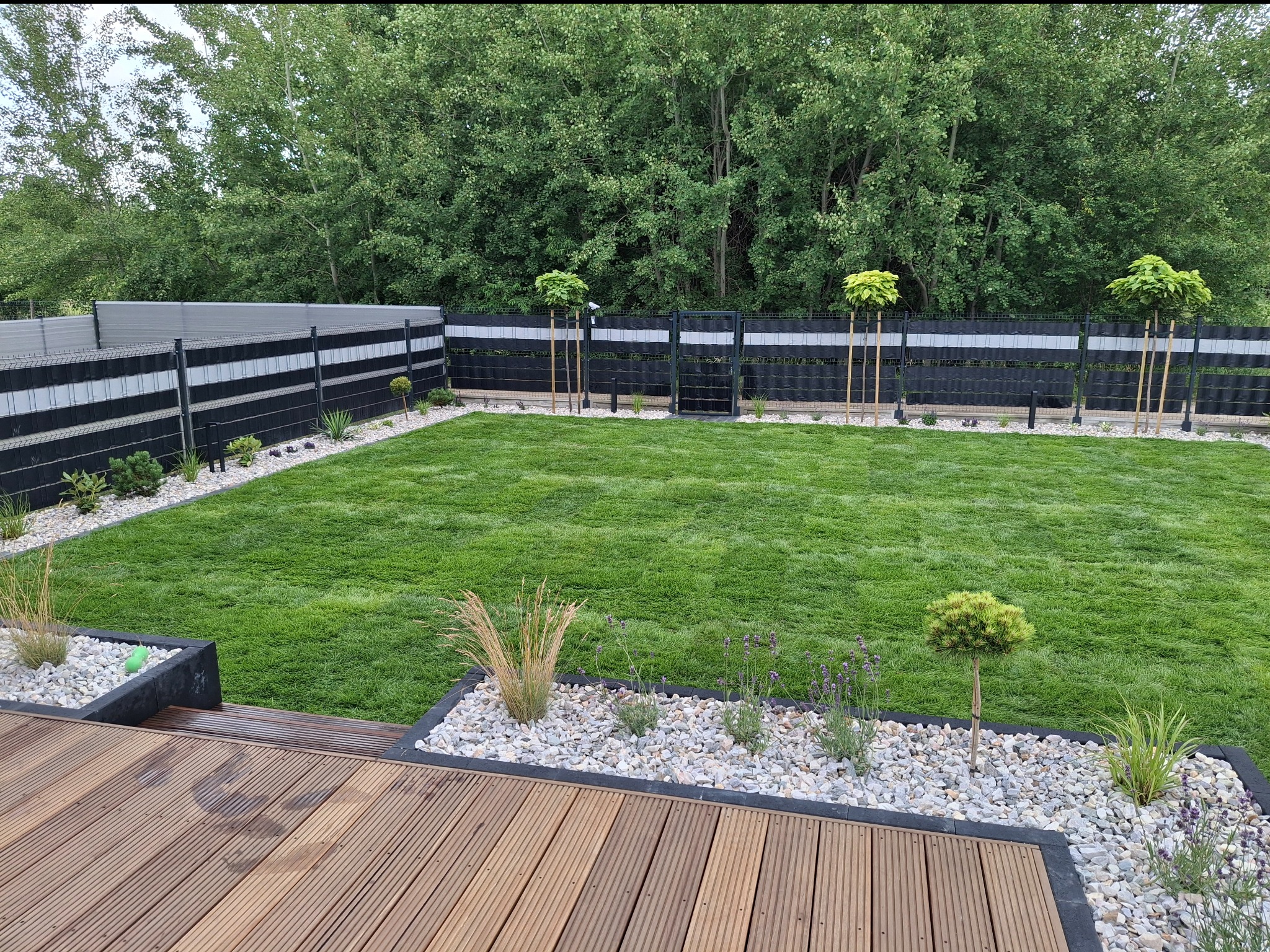 Zadbany ogród z równo przystrzyżonym trawnikiem, drewnianym tarasem i ozdobnymi rabatami z kamyków oraz roślin. W tle widoczny czarno-szary płot i zielone drzewa.