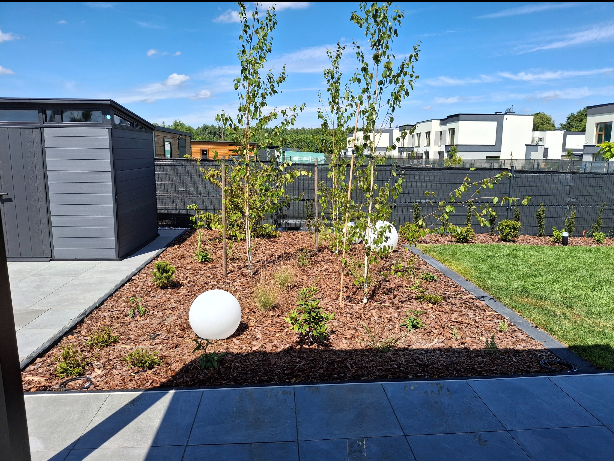 Nowoczesny ogród z młodymi brzozami, korą, oświetleniem kulistym i zadbanym trawnikiem na tle zabudowy szeregowej w słoneczny dzień.