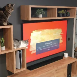 Nowoczesna zabudowa ściany TV z drewnianymi półkami, na których siedzą dwa koty. W tle widoczny stół i krzesła. Na ekranie telewizora komunikat 'Brak sygnału'.