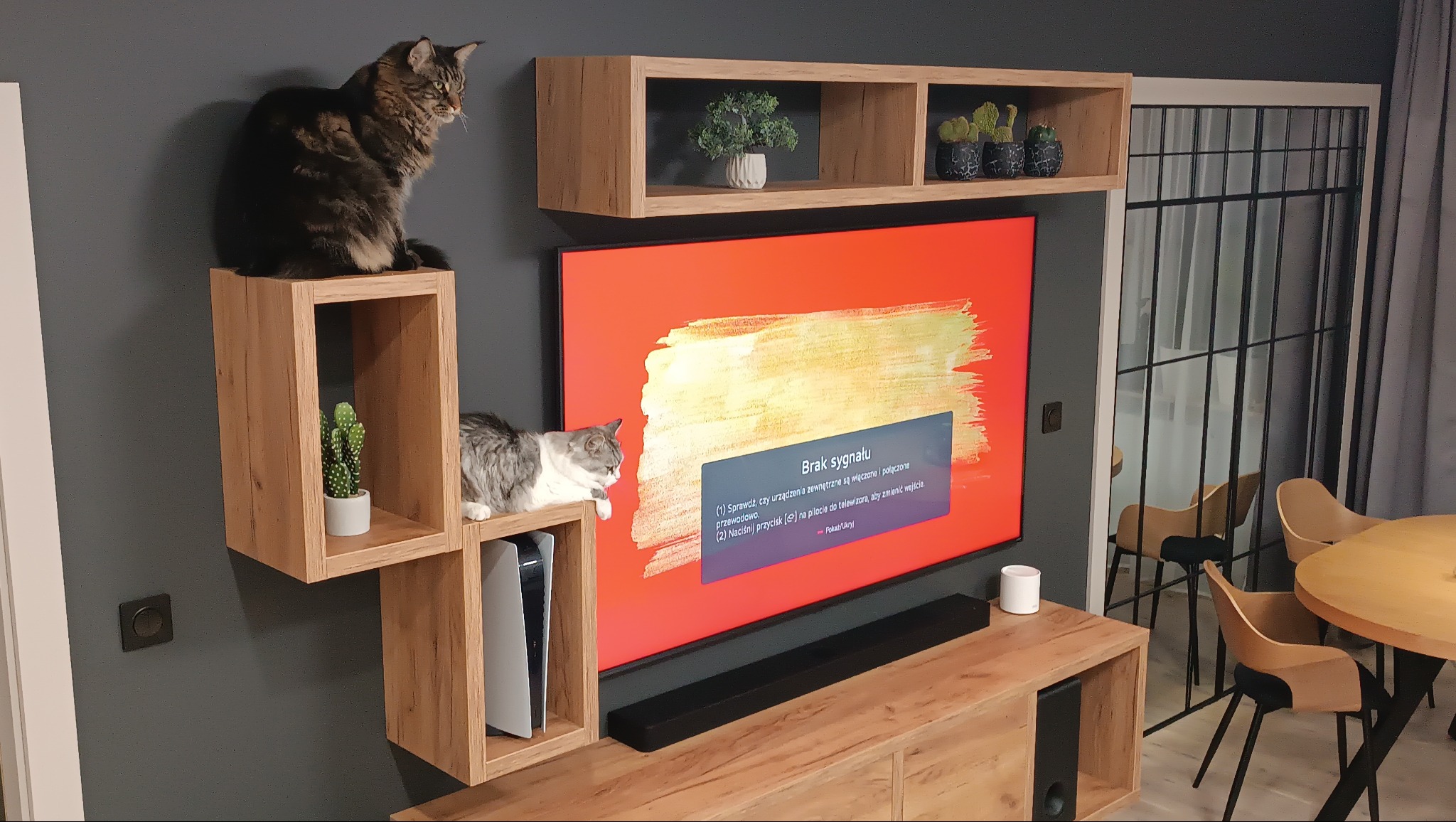 Nowoczesna zabudowa ściany TV z drewnianymi półkami, na których siedzą dwa koty. W tle widoczny stół i krzesła. Na ekranie telewizora komunikat 'Brak sygnału'.