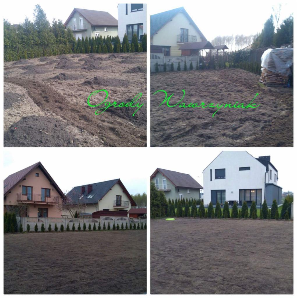 Kompozycja czterech ujęć terenu przed domami: przygotowanie gruntu pod trawnik, świeżo zasiana trawa, młode tuje jako element krajobrazu.