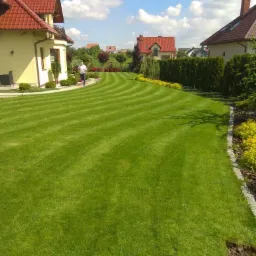 Perfekcyjnie przystrzyżony trawnik z wzorem w paski przed domem jednorodzinnym, widoczna osoba spacerująca po trawniku.