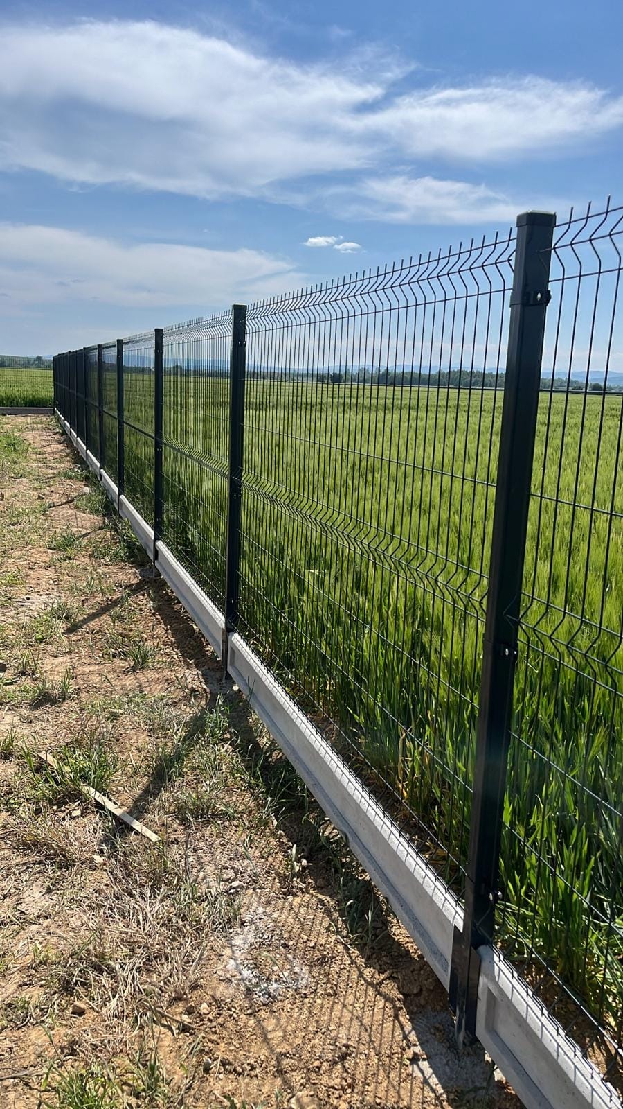 Długi, czarny, metalowy płot panelowy z podmurówką z prefabrykatów betonowych na skraju pola uprawnego w słoneczny dzień.