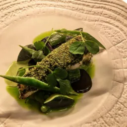 Elegancko podane danie: ryba w zielonej panierce, zielone warzywa, purpurowe plastry, całość polana zielonym sosem na talerzu z tłoczeniami.