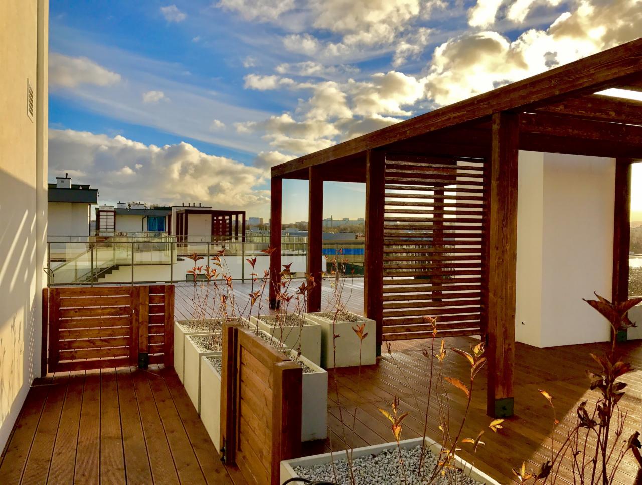 Drewniany taras na dachu budynku z konstrukcją pergoli, roślinami w donicach i widokiem na miasto w tle pod błękitnym niebem z chmurami.