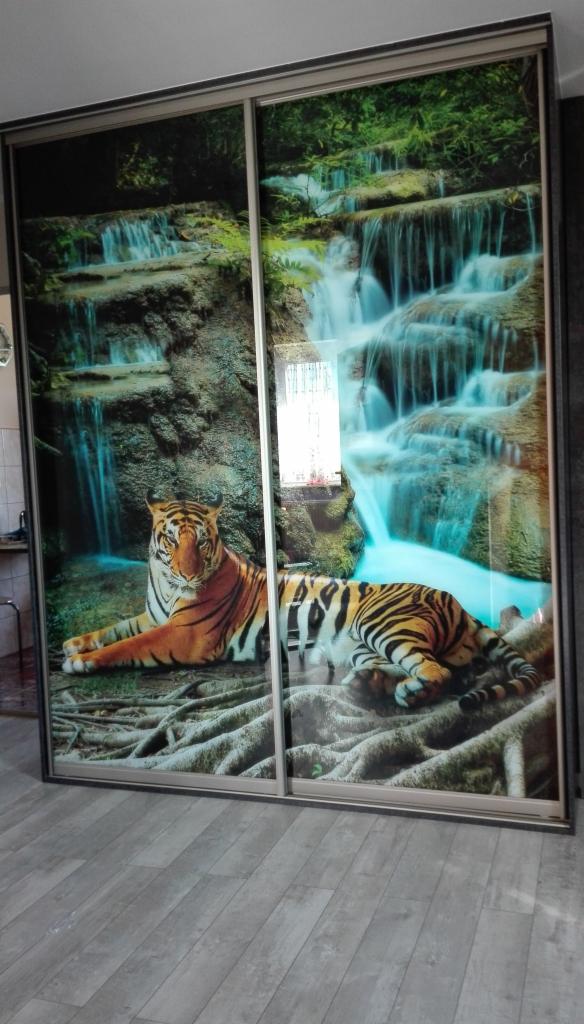Szafa przesuwna z fototapetą przedstawiającą leżącego tygrysa na tle wodospadu i korzeni drzew