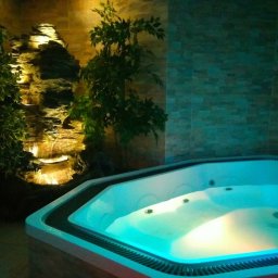KAERTUR SPÓŁKA Z OGRANICZONĄ ODPOWIEDZIALNOŚCIĄ - Podświetlany, ośmiokątny jacuzzi z wodą, obok dekoracyjna ściana z kamienia i roślin, tworząca relaksującą atmosferę w spa.