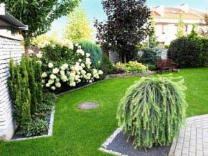 Zadbany ogród przydomowy z równo przystrzyżonym trawnikiem, ozdobnymi krzewami hortensji i iglakami, oraz drzewami liściastymi. Na trawniku widoczny okrągły element. W tle dom z czerwoną dachówką.