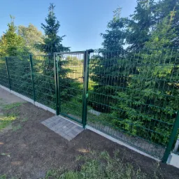 Zielone ogrodzenie panelowe z otwartą furtką i kostką brukową przed nią, na tle drzew iglastych i błękitnego nieba.