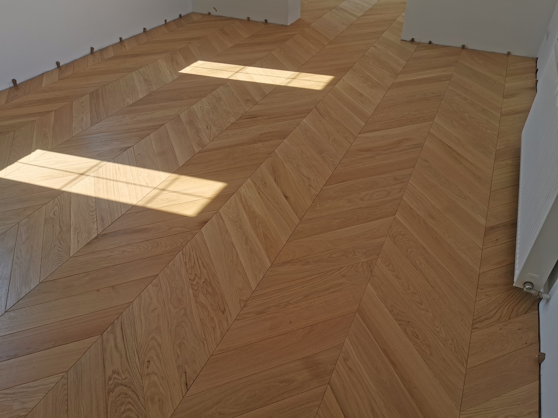 Jasny parkiet ułożony we wzór jodełki, oświetlony naturalnym światłem słonecznym wpadającym przez okno, widoczne listwy dystansowe przy ścianie.