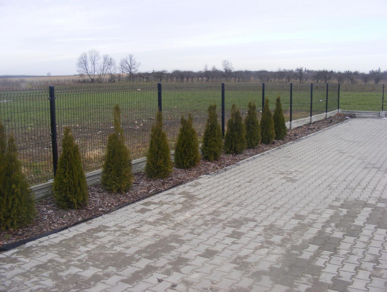 Nowoczesne ogrodzenie panelowe w kolorze czarnym, oddzielające posesję od pola, z nasadzeniami tuj przy chodniku z kostki brukowej, widok z perspektywy chodnika.