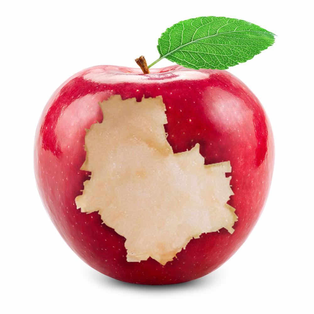Czerwone jabłko z nadgryzionym fragmentem w kształcie mapy Polski, z zielonym listkiem na szypułce, na białym tle.