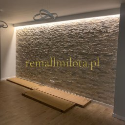 Remall - Malarz Racib&oacute;rz