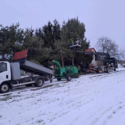 Pielęgnacja ogrodów Milejów 14