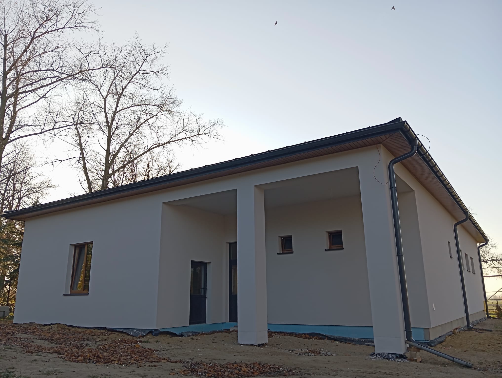 Parterowy dom z płaskim dachem, świeżo otynkowany na biało, z widocznymi kolumnami wejściowymi i czarną stolarką okienną, na tle jesiennego krajobrazu z drzewami bez liści i latającymi ptakami.