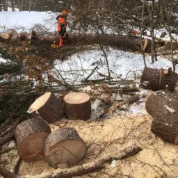 Pracownik w odzieży ochronnej, z piłą łańcuchową, stoi na pniu drzewa w zimowym krajobrazie, otoczony ściętymi kłodami i wiórami drewna.