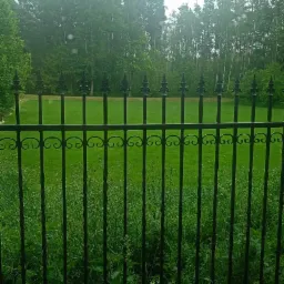 Kuta, czarna metalowa barierka z dekoracyjnymi elementami na tle zielonego trawnika i drzew. Perspektywa z dołu, widok na zewnątrz.