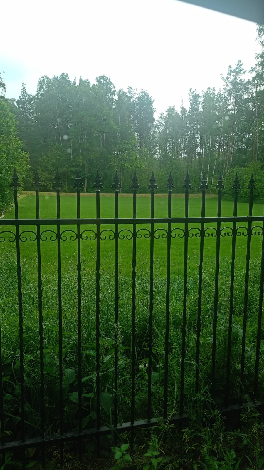Kuta, czarna metalowa barierka z dekoracyjnymi elementami na tle zielonego trawnika i drzew. Perspektywa z dołu, widok na zewnątrz.