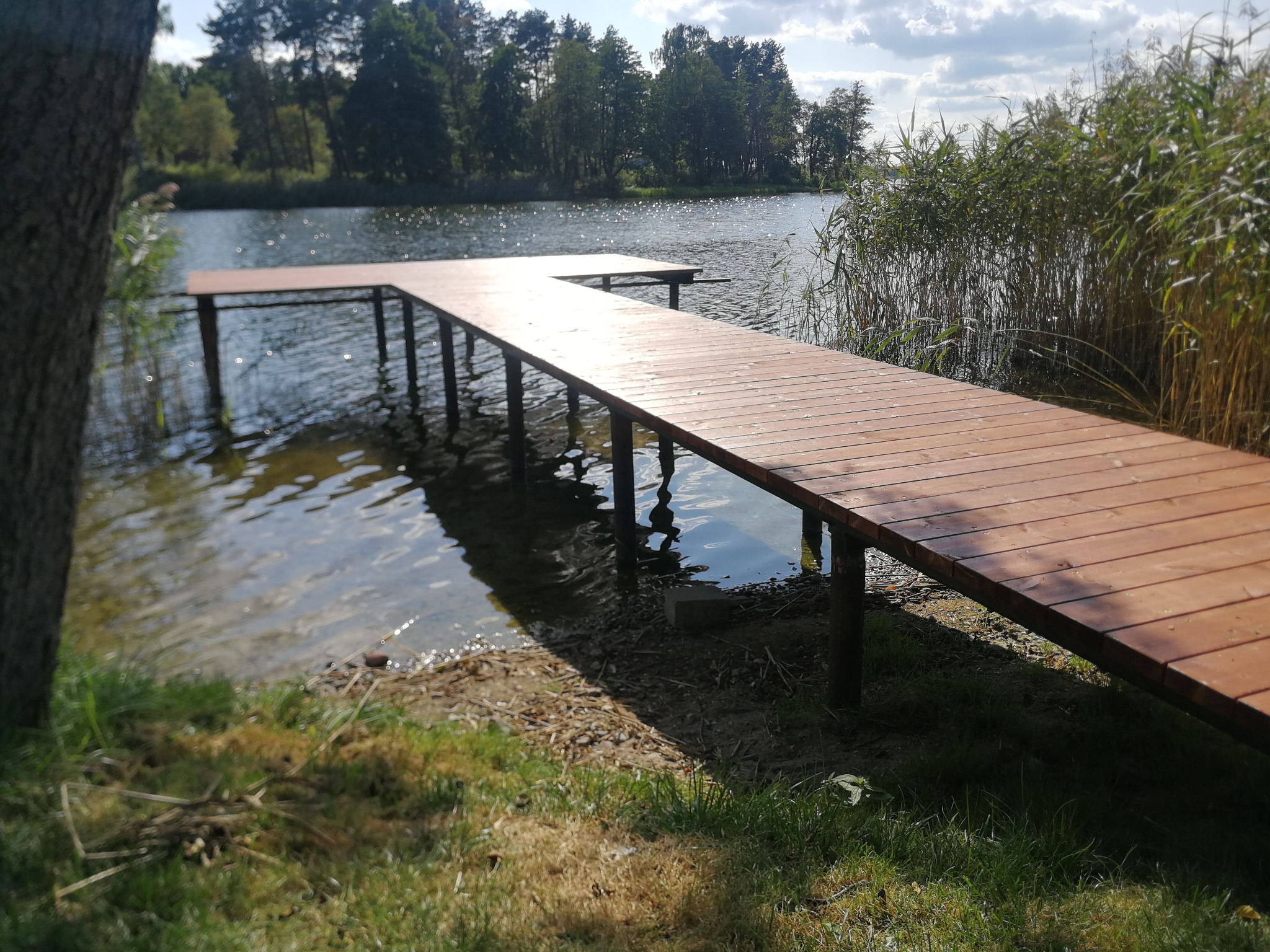 Drewniany pomost nad jeziorem w słoneczny dzień, widok z brzegu, z widocznymi trzcinami i drzewami w tle.