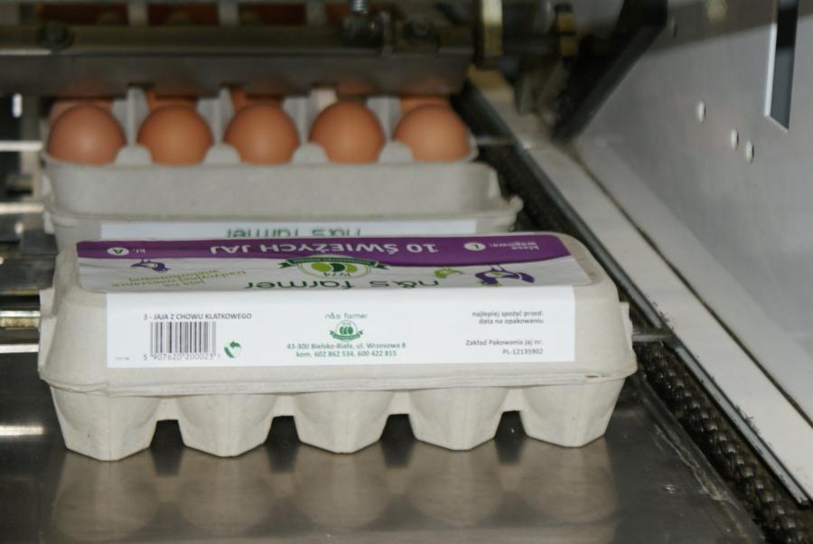 Automatyczna linia pakująca brązowe jaja w tekturowe wytłaczanki z etykietą informacyjną o dacie ważności i numerze zakładu pakowania.