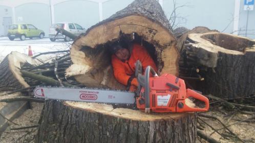 Trees Adrian Sowa Pielęgnacja i Wycinka Drzew - Prace wysokościowe Lubliniec