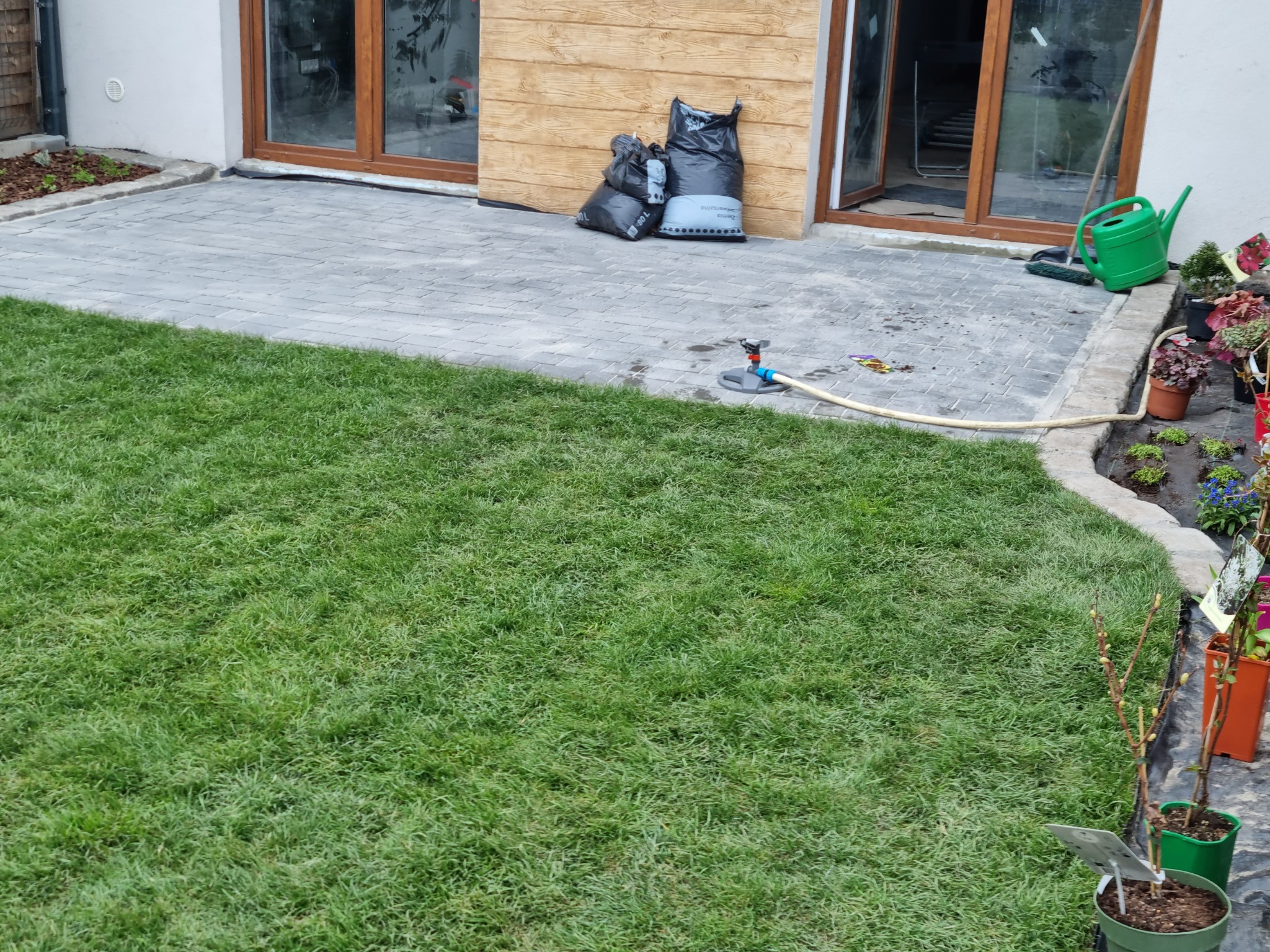 Świeżo założony trawnik z systemem nawadniania, obok kostka brukowa, worki z ziemią i sadzonki roślin w doniczkach, w tle budynek z drewnianą elewacją.