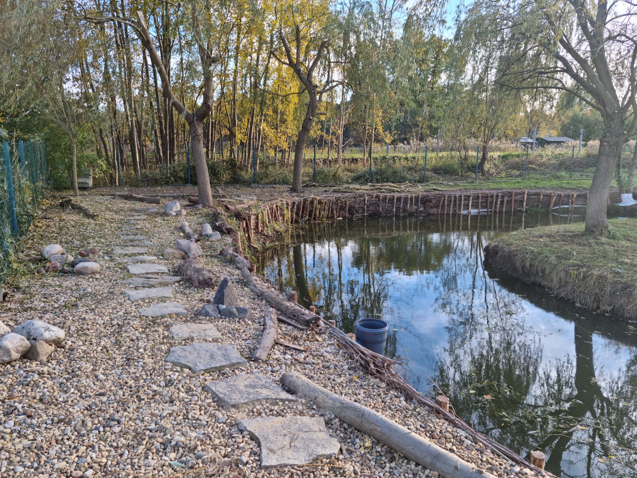 Oczko wodne z drewnianym brzegiem i kamienną ścieżką, otoczone drzewami, z widocznymi odbiciami w wodzie i plastikowym pojemnikiem na brzegu.