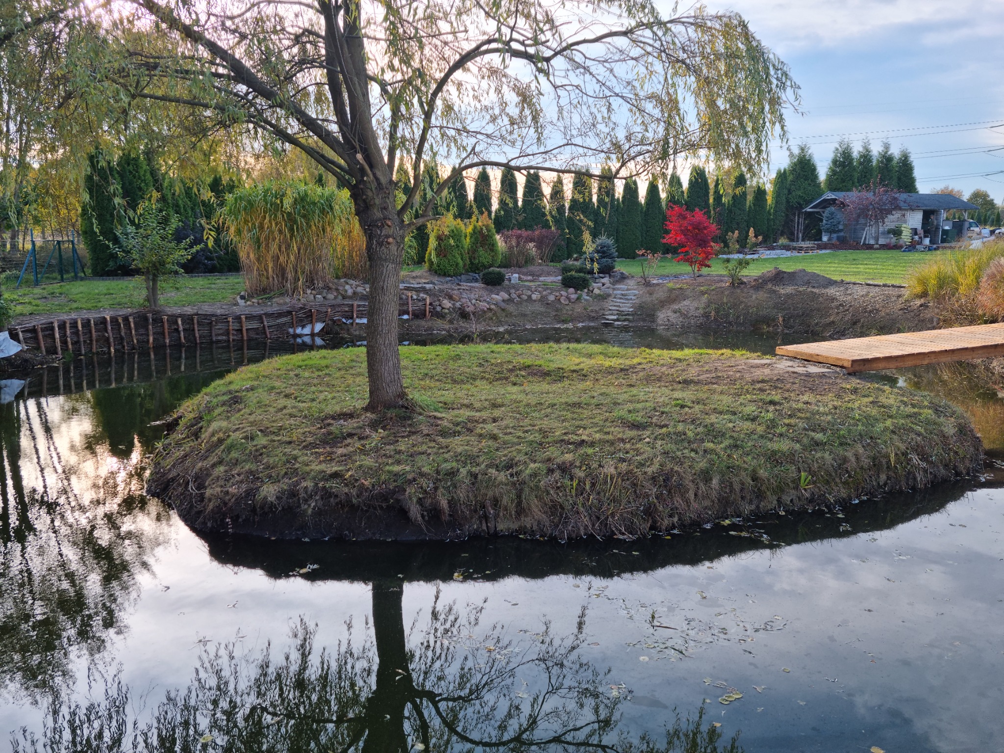 Oczko wodne z wyspą porośniętą trawą, drzewem i drewnianym pomostem, w tle liczne drzewa i krzewy w ogrodzie.