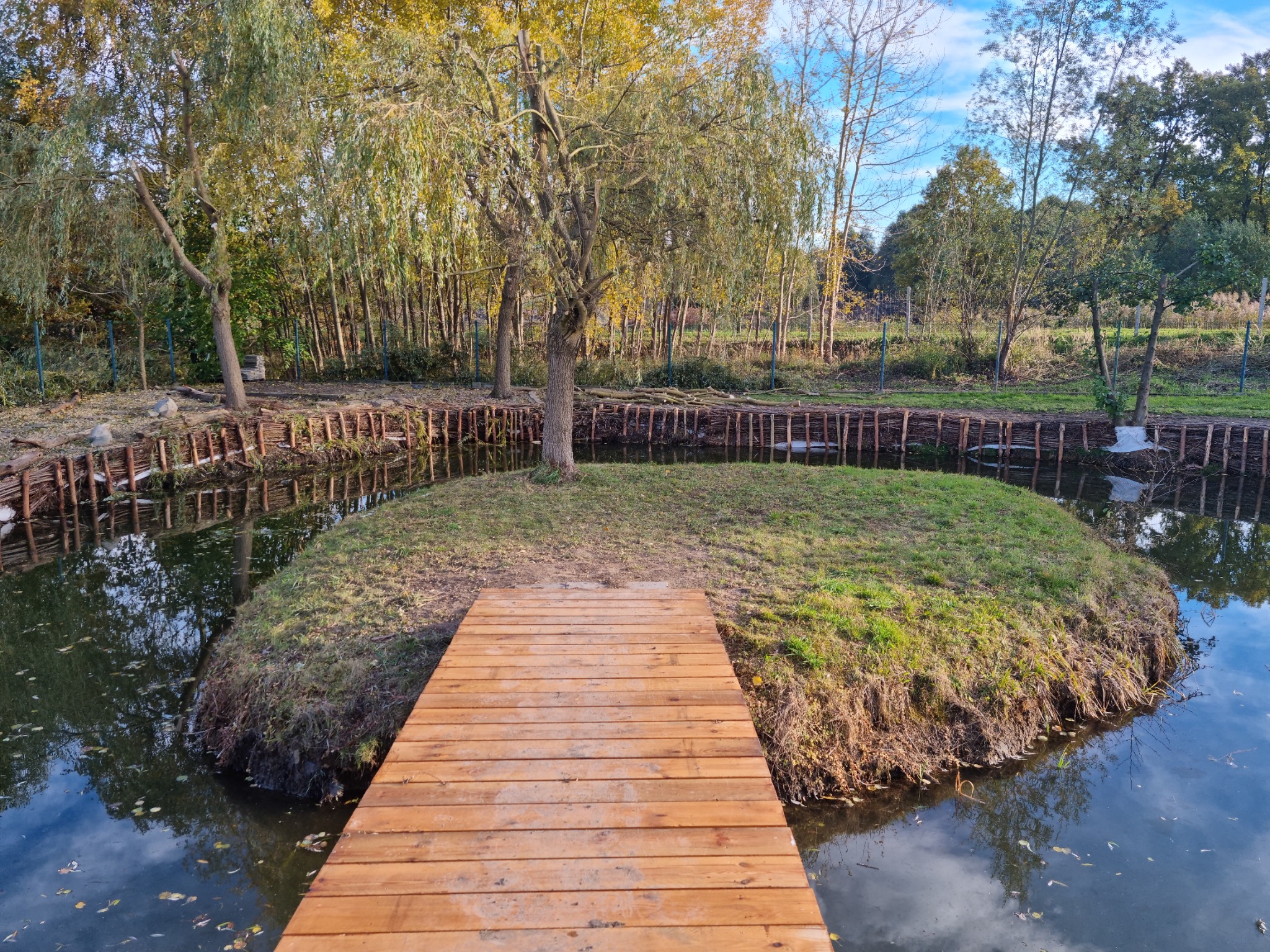Oczko wodne z małą wyspą, do której prowadzi drewniany pomost; brzeg oczka wzmocniony wiklinową palisadą.