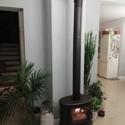 EMBUD Kominki - Żeliwny piec wolnostojący z palącym się drewnem, czarny przewód kominowy, rośliny doniczkowe w tle, jasne ściany i podłoga. Widok na wnętrze domu z otwartymi drzwiami.